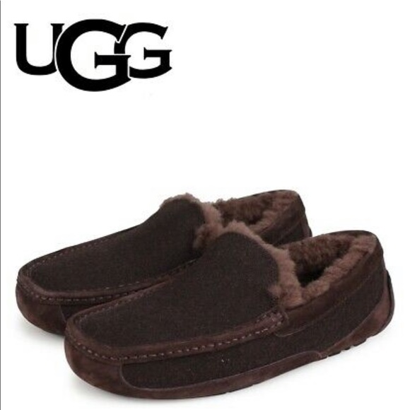 UGG Other - UGG Ascot Wool Stout Brown House Slippers Loafers